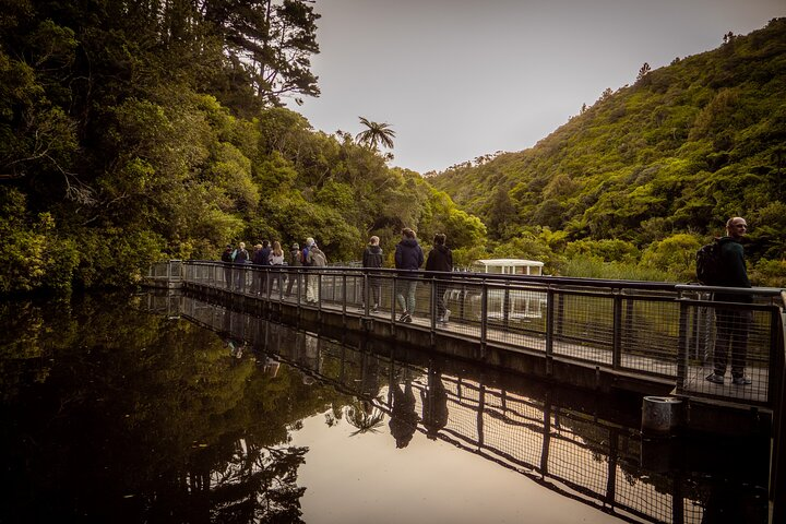 A group discovering the wetlands area on their Twilight Tour.